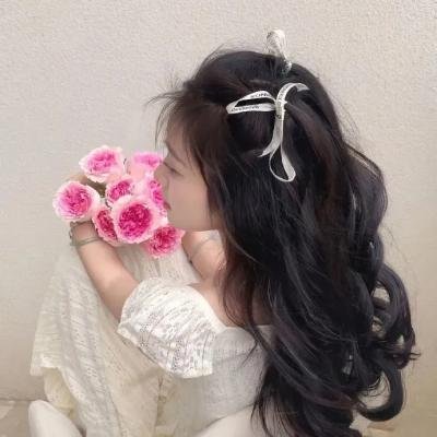 是,大臣第二季